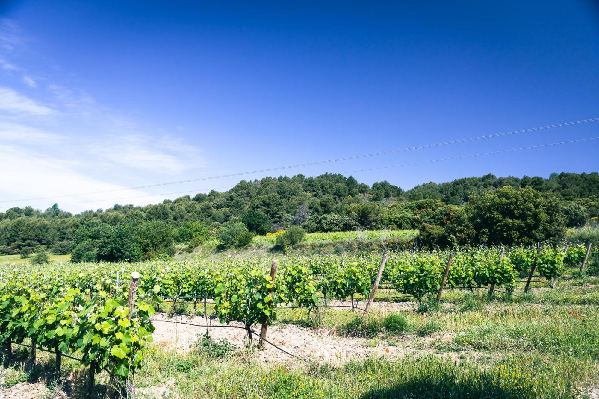 Apartament Domaine Des Peyre Robion en Luberon Zewnętrze zdjęcie