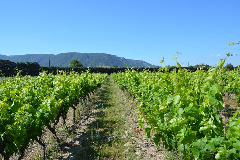 Apartament Domaine Des Peyre Robion en Luberon Zewnętrze zdjęcie